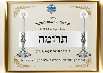 WhatsApp Image 2026-02-17 at 22.00.28